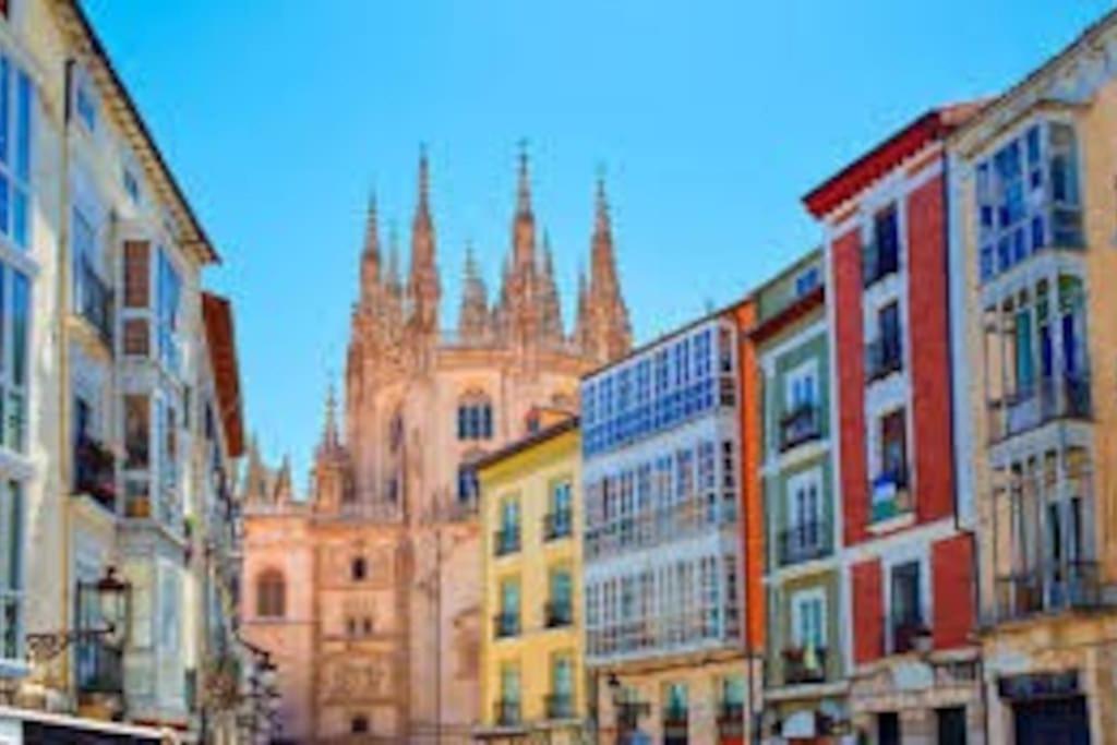 Apartamento Con Gran Terraza Y Vistas A La Catedral. Burgo 외부 사진